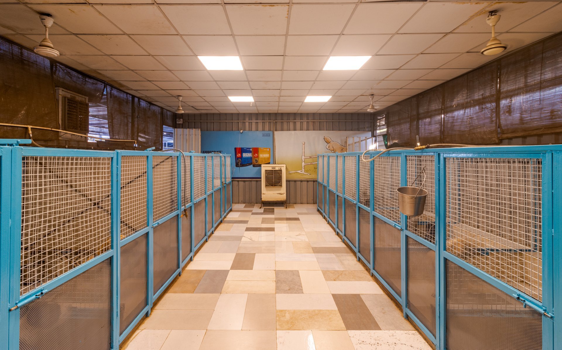 Dogsvilla Facility - Premier Pet Care in Indore