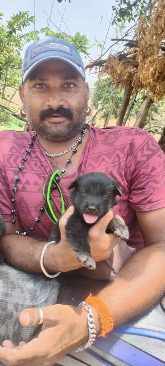 Pet Adoption Services - Photo 9