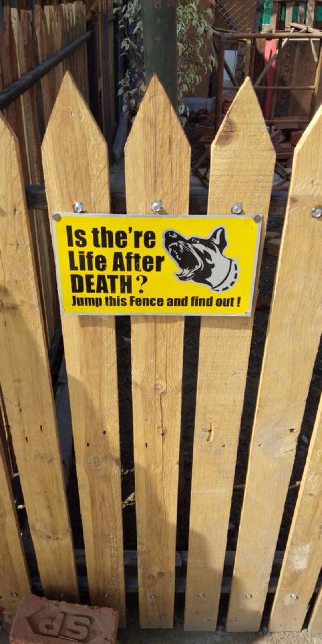 Dog Boarding & Hostel - Photo 15