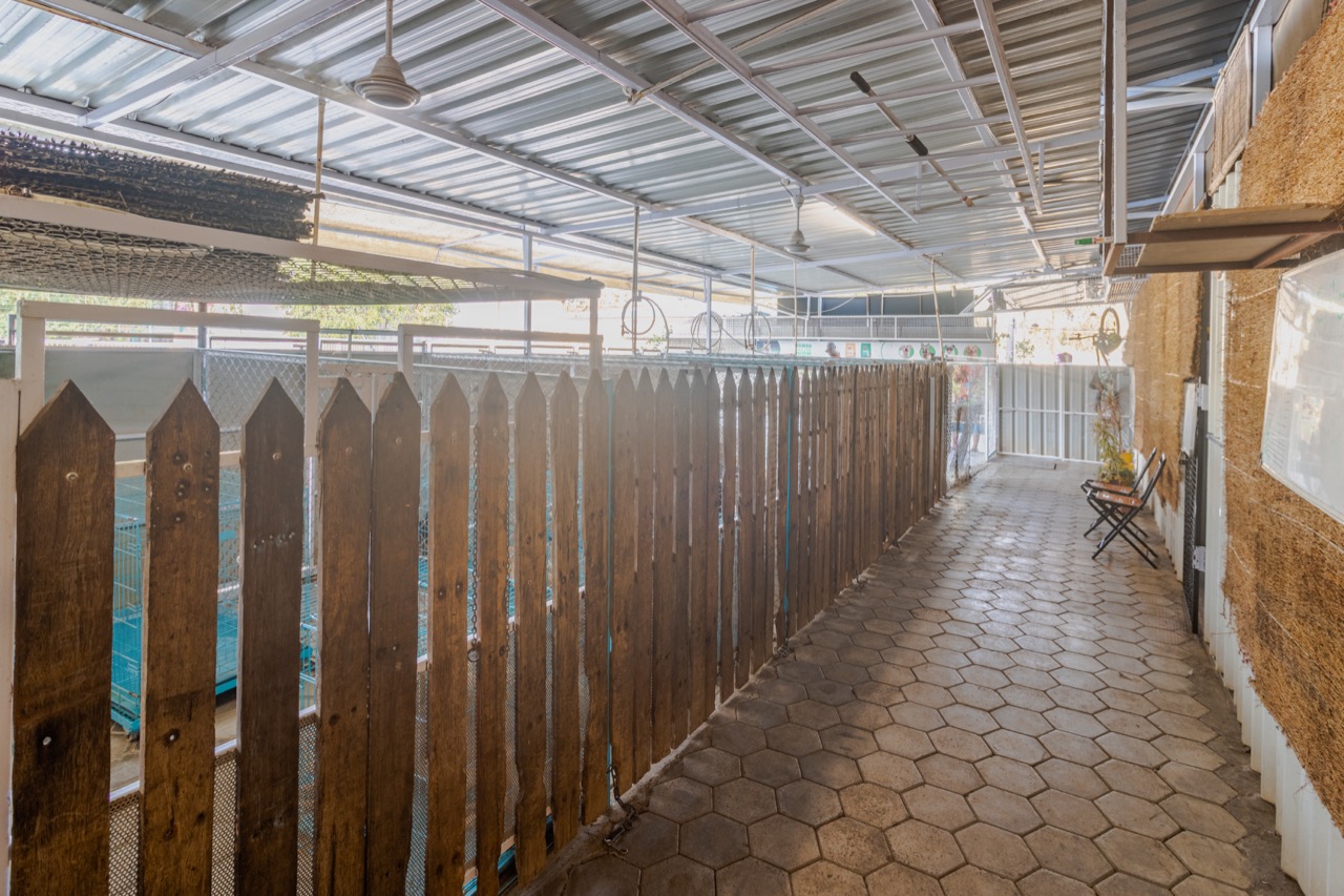 Dog Boarding & Hostel - Photo 23