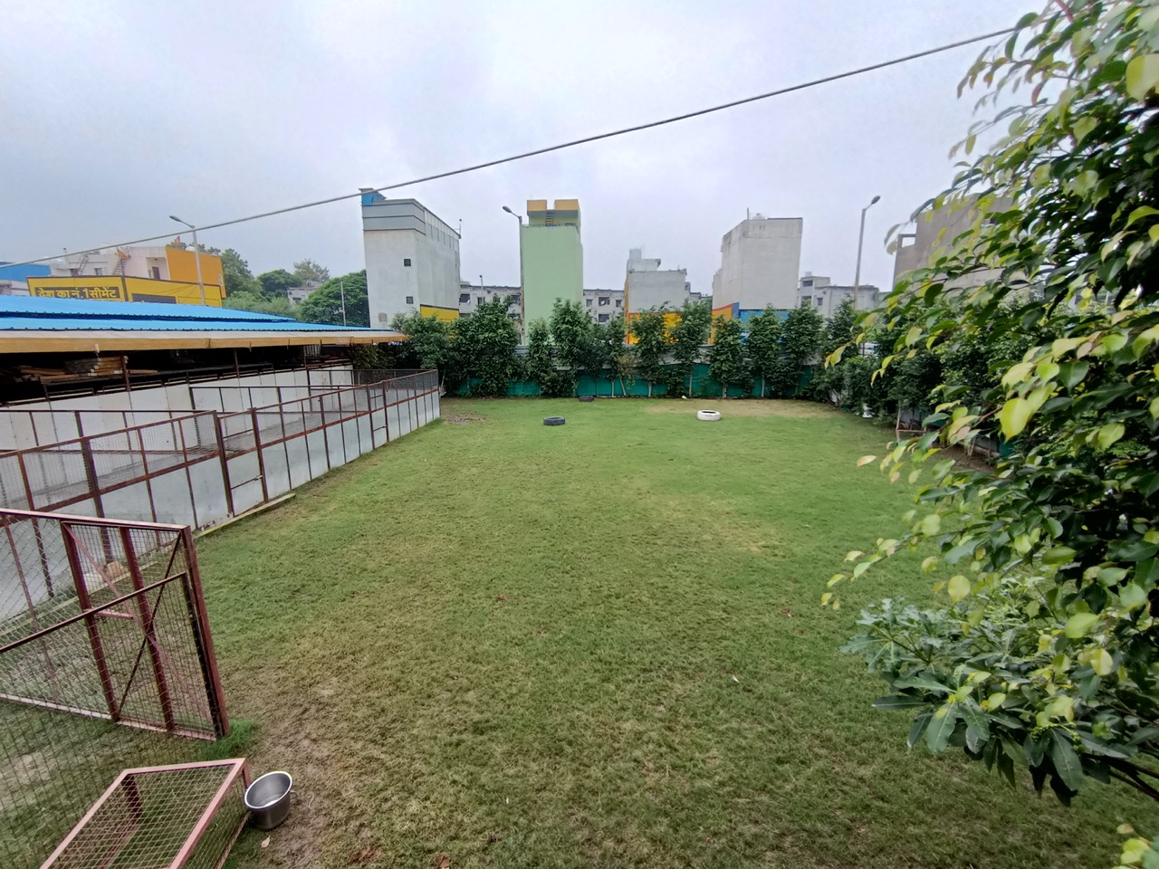 Dog Boarding & Hostel - Photo 32