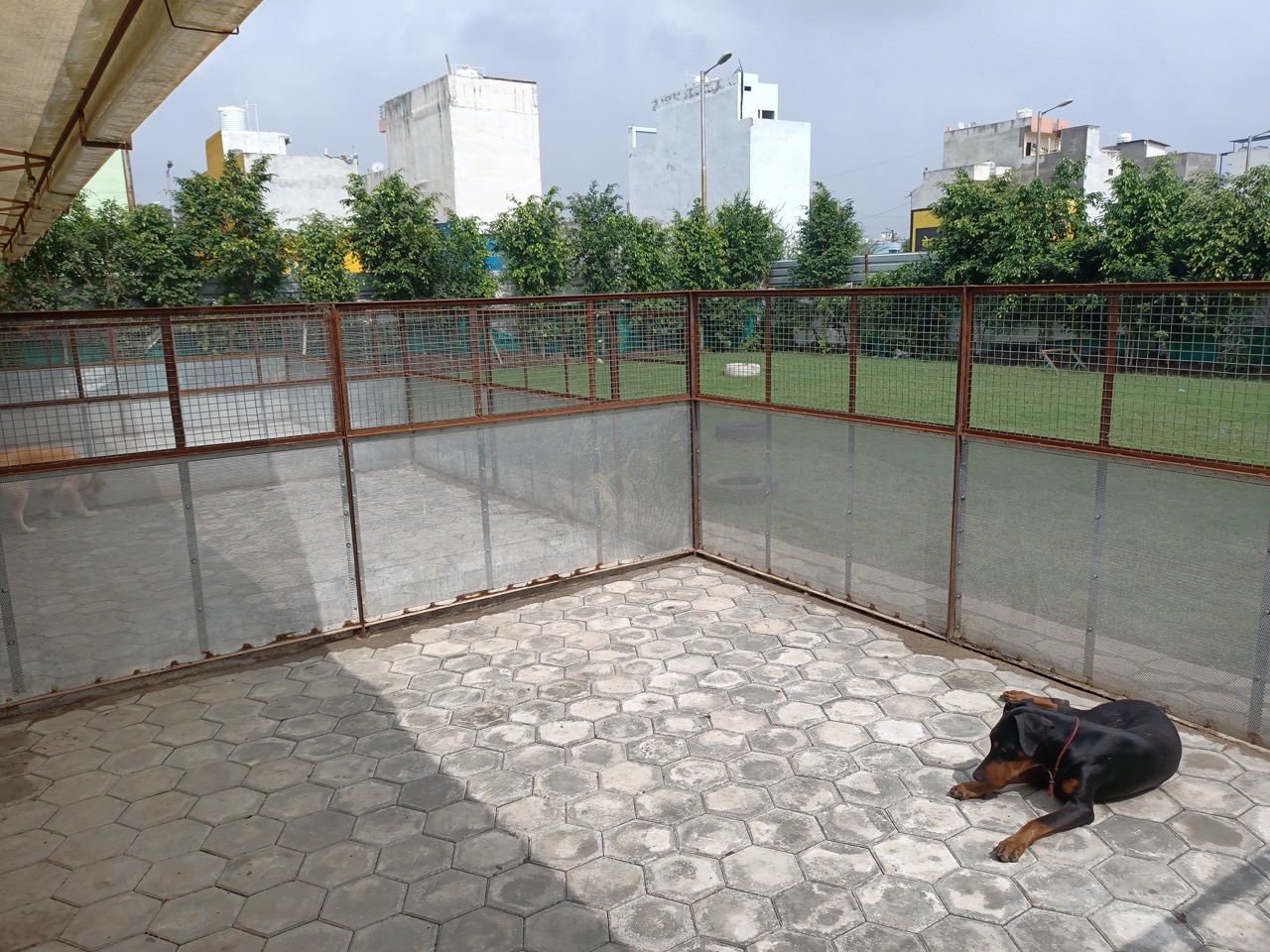 Dog Boarding & Hostel - Photo 12