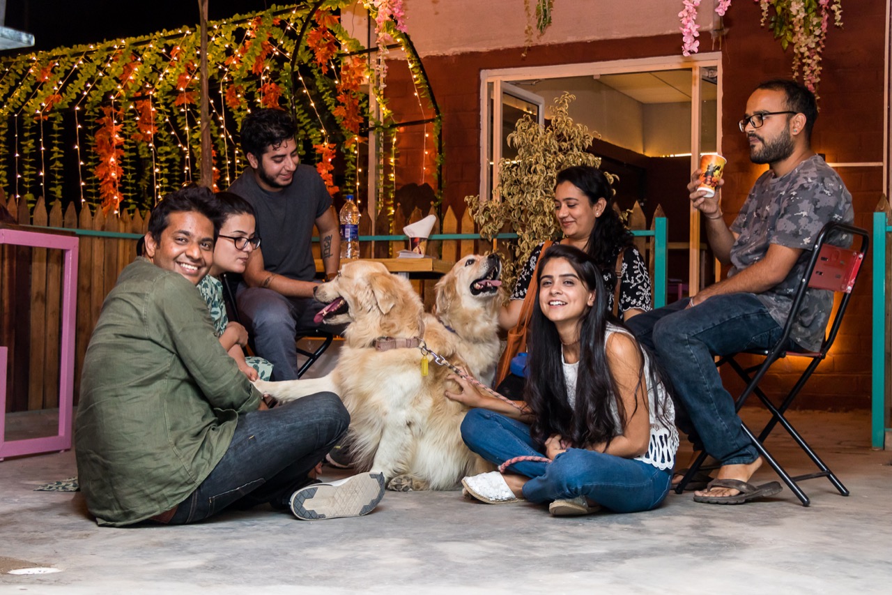 Dog Boarding & Hostel - Photo 50