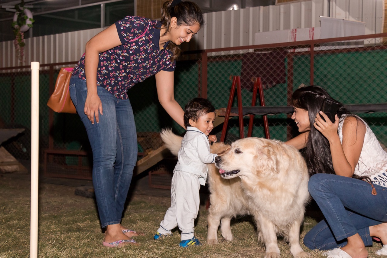 Dog Boarding & Hostel - Photo 52