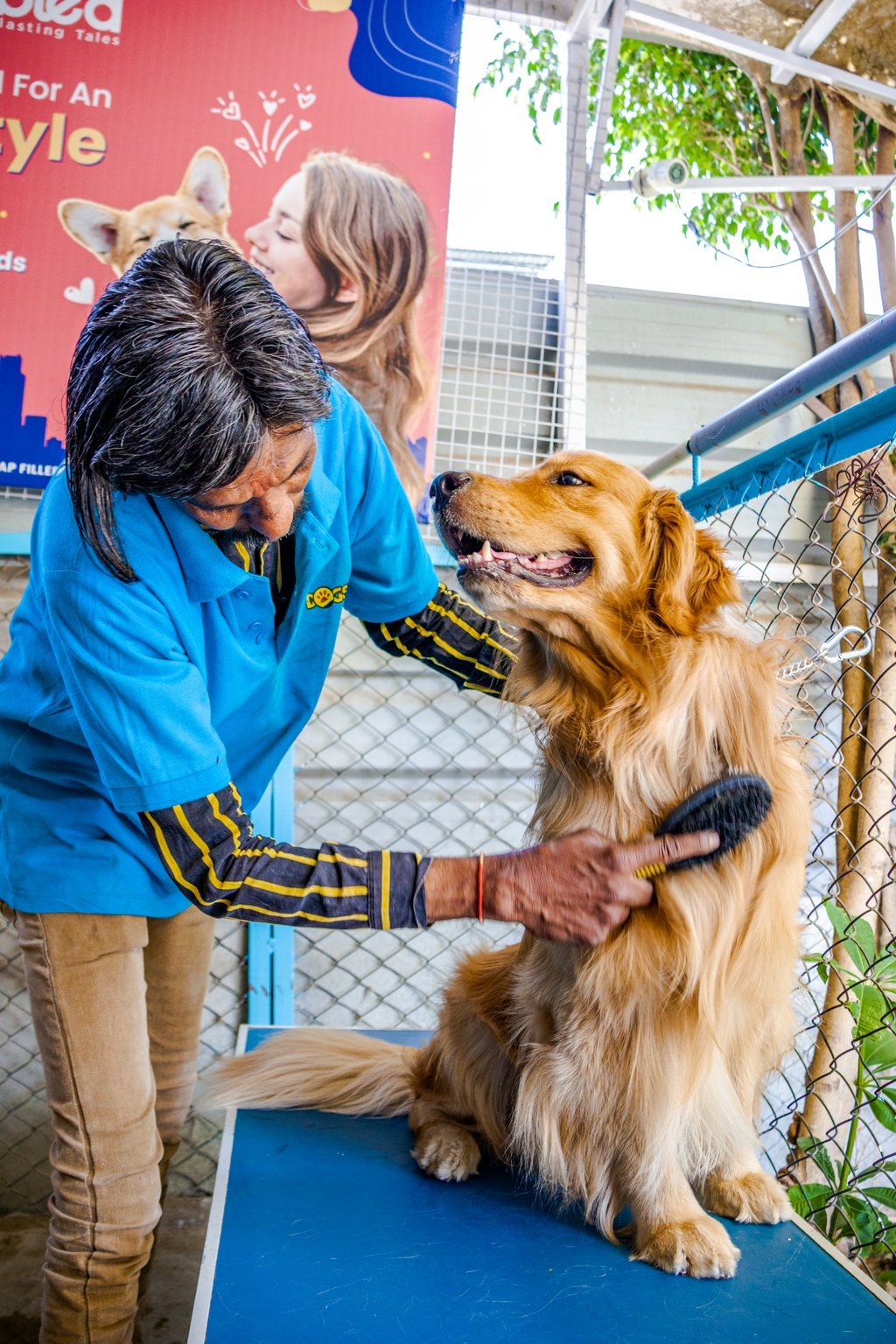 Grooming Facilities at Dogsvilla