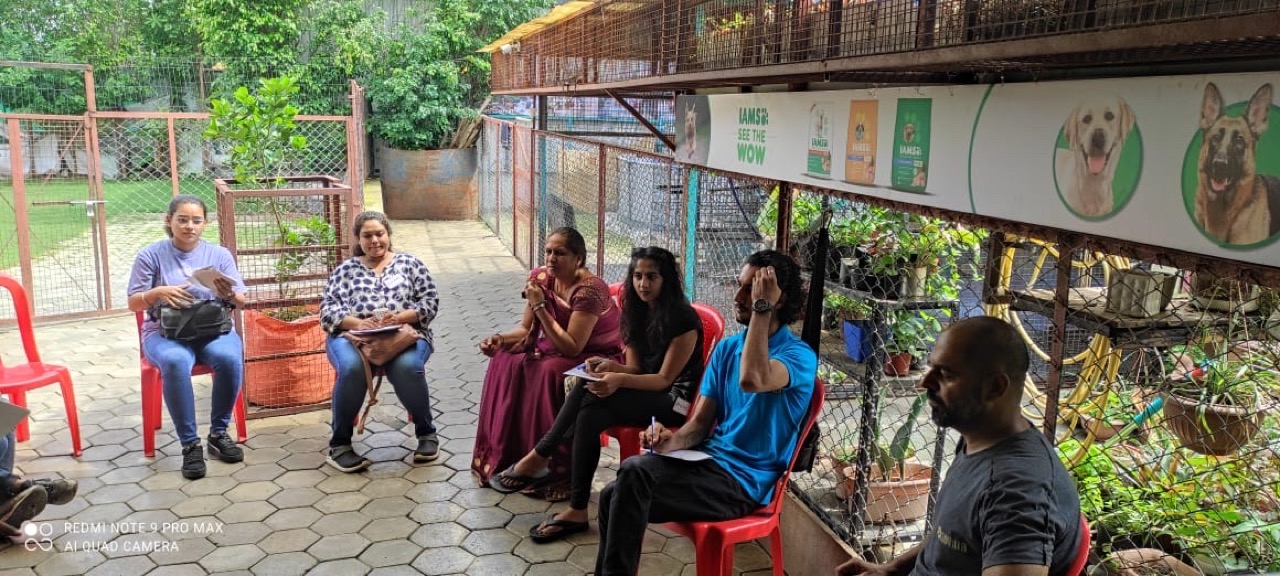 Petversity - Professional service photo 2