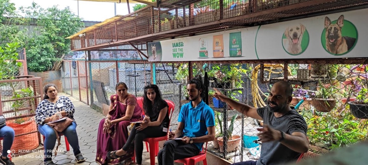 Petversity - Professional service photo 3