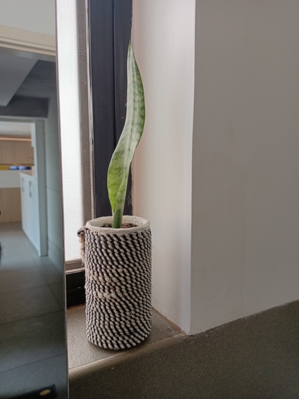 Buy a Plant, Save a Life - Professional service photo 1