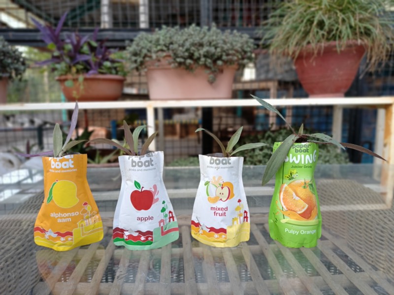 Buy a Plant, Save a Life - Photo 8